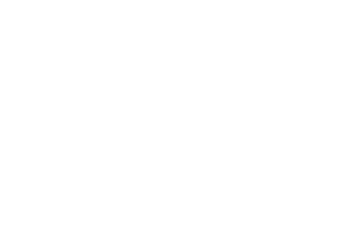 インフルエンサー例