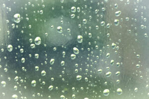 雨の水滴の画像